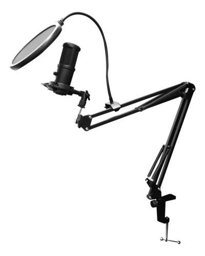 Streaming Kit. Microphone. Webcam. Ring Light